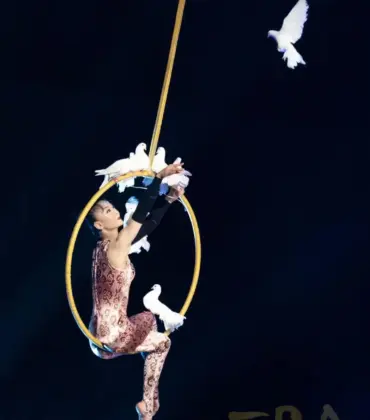 Magical Evenings in Shanghai: The Ultimate Guide to Acrobatic Shows and Huangpu Nightlife