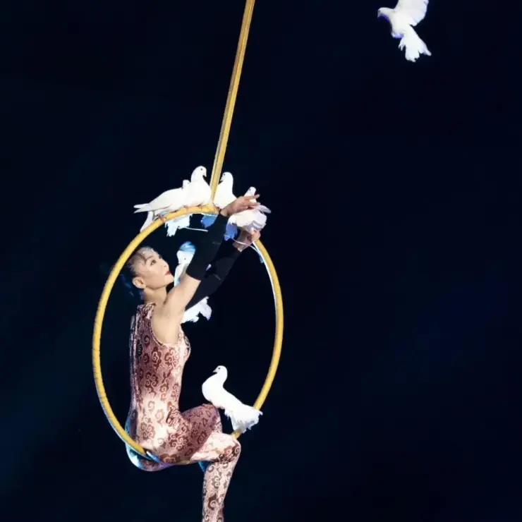 Noches mágicas en Shanghái: La guía definitiva de espectáculos acrobáticos y la vida nocturna de Huangpu.